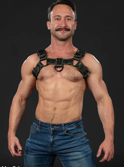 Mr. S Leather Dark Room Bulldog - Custom