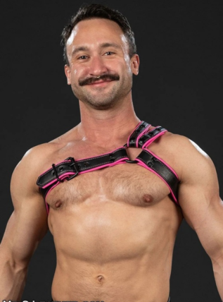 Mr. S Leather Slingshot Tri-Harness - Custom