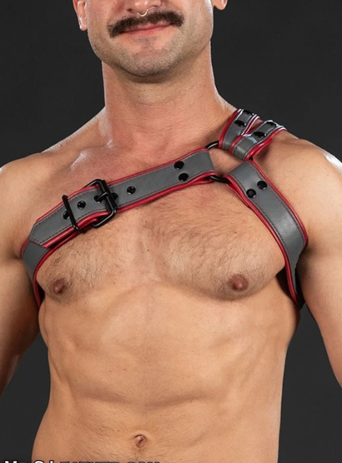 Mr. S Leather Slingshot Tri-Harness - Custom