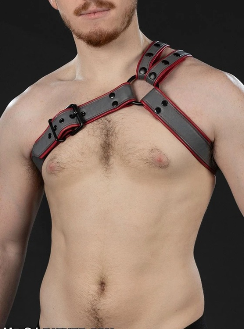 Mr. S Leather Slingshot Tri-Harness - Custom