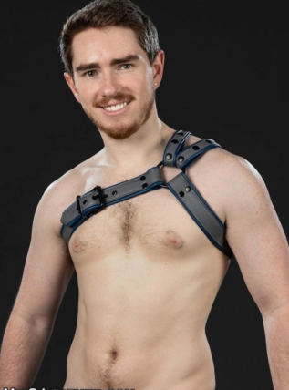 Mr. S Leather Slingshot Tri-Harness - Custom