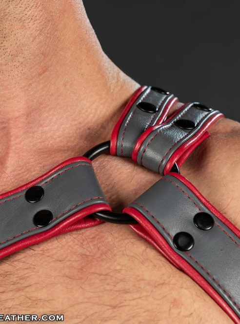 Mr. S Leather Slingshot Tri-Harness - Custom