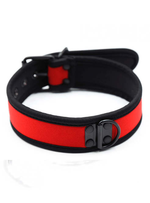 Neoprene pup collar - available in two collors