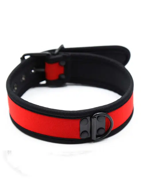 Neoprene pup collar - available in two collors