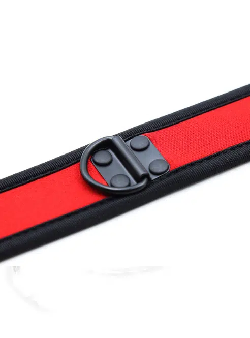 Neoprene pup collar - available in two collors