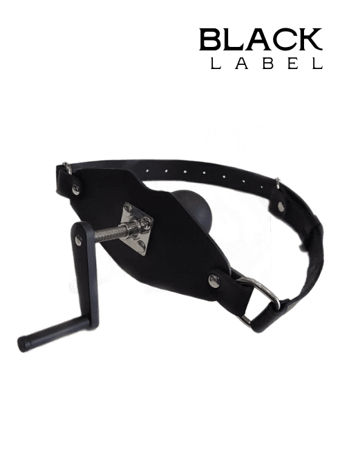 The Killer Leather & Silicone Ball Gag