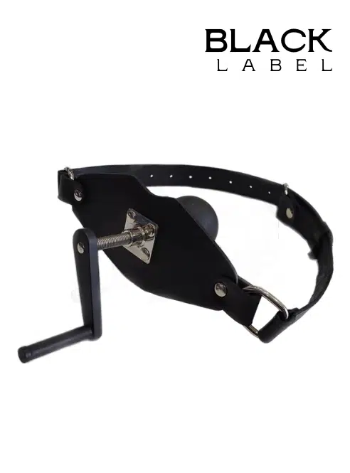 The Killer Leather & Silicone Ball Gag