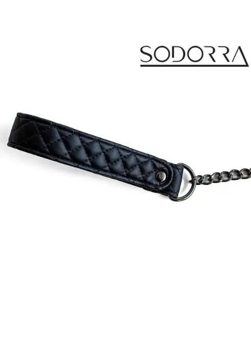 Vegan +Neo Diamond Collar w Leash